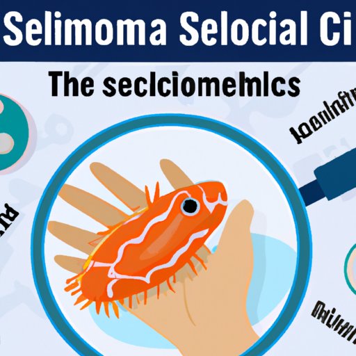Recognizing the Symptoms of Salmonella: What You Need to Know